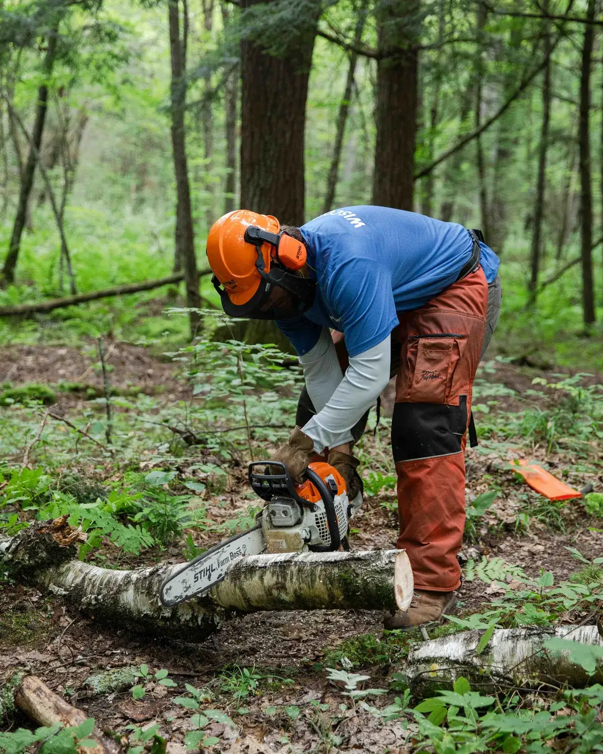 A crew member running a chainsaw on a trail project